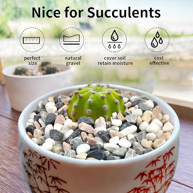 5 lbs Succulent and Cactus Pebbles for Indoor Plants, 3/8 Inch Pea Gravel Decorative River Rocks for Plants, Vases, Terrarium, Aquarium, Potted Top Dressing and Outdoor Landscaping Stones-PurrikoPets