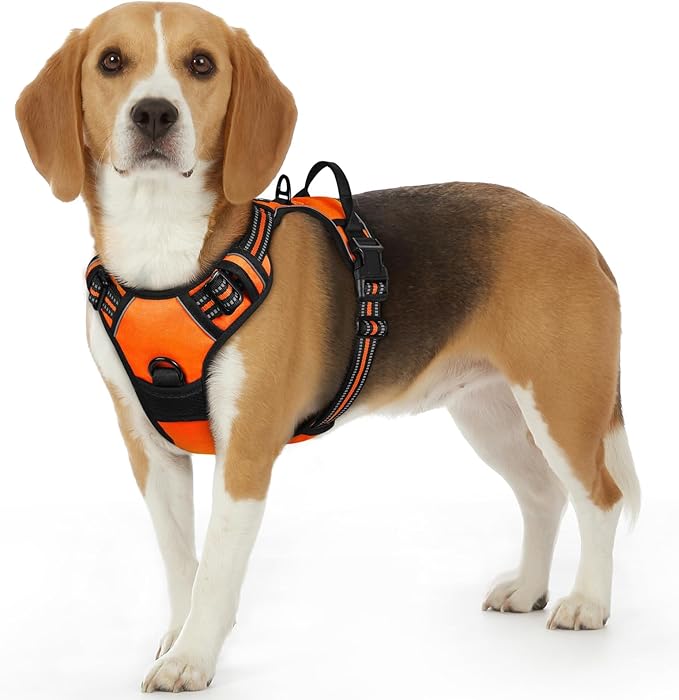 Eagloo Dog Harness Small Sized Dog, No Pull Service Vest with Reflective Strips and Control Handle, Adjustable and Comfortable for Easy Walking, No Choke Pet Harness with 2 Metal Rings, Orange, S-PurrikoPets