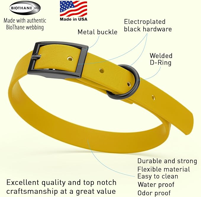 Dogline Biothane Waterproof Dog Collar Strong Coated Nylon Webbing with Black Hardware Odor- Proof for Easy Care Easy to Clean High Performance Fits Small Medium or Large Dogs, Treasure Gold-PurrikoPets