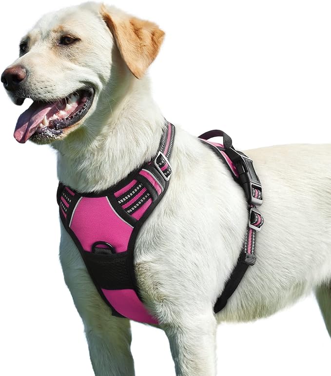 Eagloo Dog Harness for Large Dogs, No Pull Service Vest with Reflective Strips and Control Handle, Adjustable and Comfortable for Easy Walking, No Choke Pet Harness with 2 Metal Rings, Rose Red, L-PurrikoPets