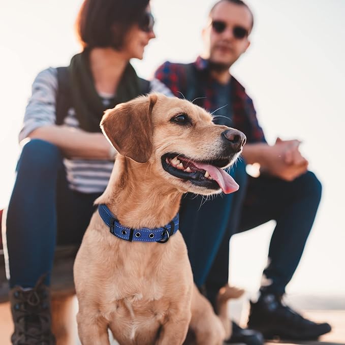 Fida Heavy Duty Dog Collar, Ultra Comfortable Soft Neoprene Padded, Adjustable Reflective Nylon Pet Collar with Durable Metal Belt Buckle for Small Breeds (S, Blue)-PurrikoPets