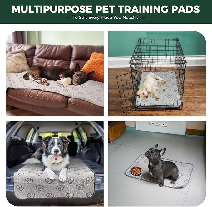 FXW Washable Pee Pads for Dogs, Puppy Pads with Super Absorbent, Specifically Designed for 36inch Cages, 35" × 23" Rectangle, Khaki, 4 Packs-PurrikoPets