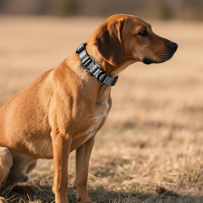 AirTag Dog Collar - Leather Dog Collar with Airtag Holder | IP68 Waterproof AirTag Holder with Metal Buckle, Comfortable GPS Dog Collars Tracker for Medium Large Dogs (Black, L)-PurrikoPets