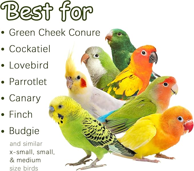 5-Pack Natural Flower Bird Toys – Foraging & Chewing Toys for Parakeets, Cockatiels, Conures & Small Birds – No Plastic, All-Natural Materials-PurrikoPets