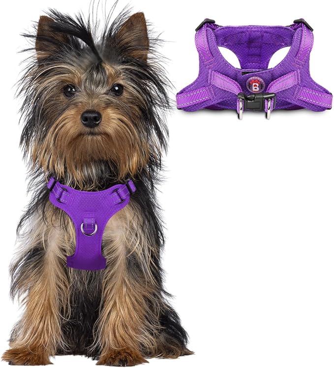 Dog Harness Step in Dog Vest Harness, Reflective Adjustable Puppy No Pull Harness Breathable Soft for Small and Medium Dogs Cats, Purple, XXS-PurrikoPets