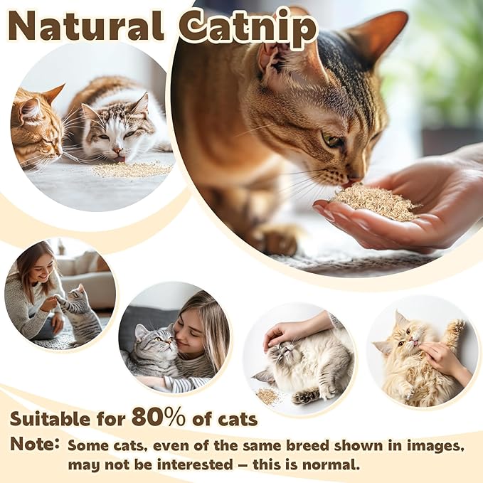 80PCS Catnip - Cat Nip for Cats Natural Dried Catnip Treats Premium Cat Nip Perfect for Toys, Training Rewards, Stress Relief, Freshly Harvested Bag Bulk Pack,2.8OZ-PurrikoPets