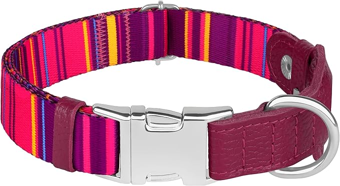 AirTag Dog Collar for Small Medium Large Breed - Adjustable Cute Pattern Dog Collar with Airtag Holder - Soft Leather Tracker GPS Apple Air Tag Pet Collars (Large, 17"-21" Neck Fit, Striped)-PurrikoPets
