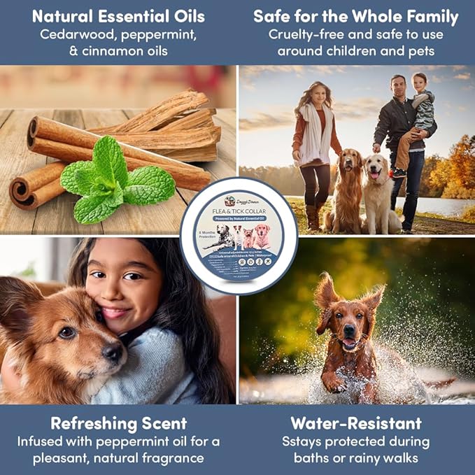 Flea and Tick Collar for Dogs, Cats – Natural Essential Oils – Long-Lasting 8 Month Protection – Waterproof, Adjustable – Safe for Puppies, Kittens, Sensitive Skin-PurrikoPets