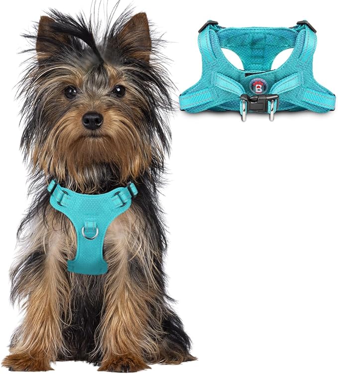 Dog Harness Step in Dog Vest Harness, Reflective Adjustable Puppy No Pull Harness Breathable Soft for Small and Medium Dogs Cats, Ocean Blue, XXS-PurrikoPets