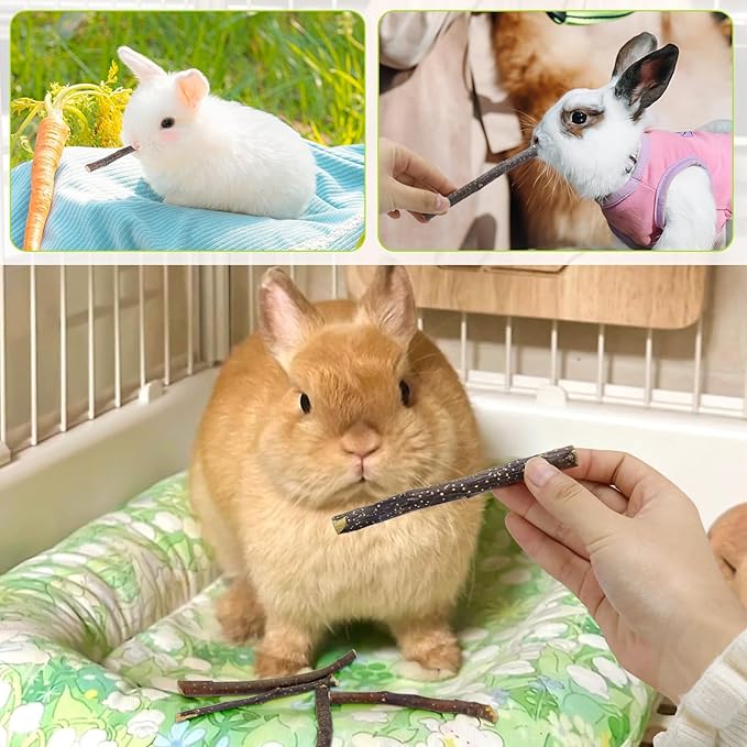 600g Small Apple Sticks Animals Molar Wood Treats Toys for Rabbits Chinchillas Guinea Pig Hamster Gerbil Parrot Bunny Chew Stick Toys Treats, 21.2 OZ-PurrikoPets