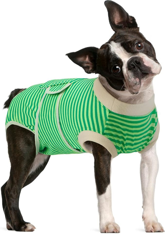 FUAMEY Dog Recovery Suit Male,Dogs Surgery Neuter Suits Puppy Spay Shirts for Female Protect Dog's Skin Anti Licking Abdominal Wounds Doggie Onesie Pet Bodysuit Alternative to Cone Green Stripes M-PurrikoPets