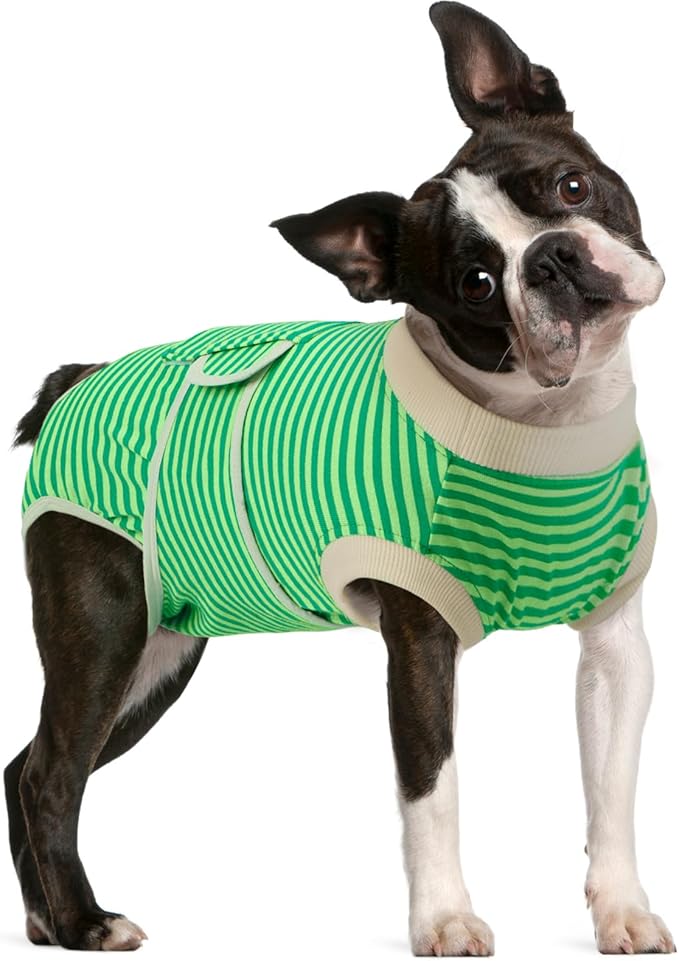 FUAMEY Dog Recovery Suit Male,Dogs Surgery Neuter Suits Puppy Spay Shirts for Female Protect Dog's Skin Anti Licking Abdominal Wounds Doggie Onesie Pet Bodysuit Alternative to Cone Green Stripes L-PurrikoPets