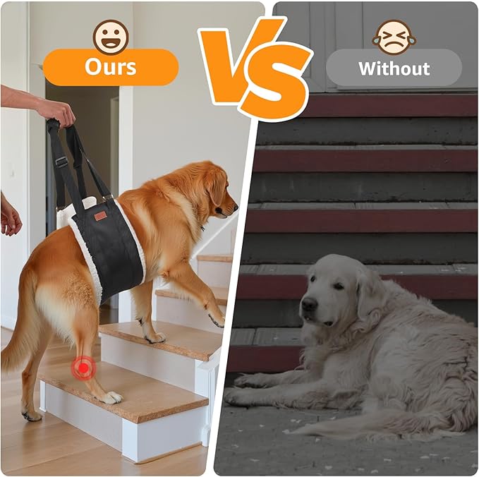 Adjustable Dog Lift Harness, Dog Sling for Large Dogs Lift Support and Rehab Harness for Weak Rear Legs, Soft Hind Leg Support Helps Senior, Injured,Disabled and After ACL Surgery Dogs(Black,X-Large)-PurrikoPets