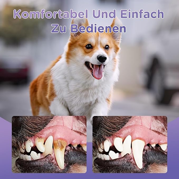 6Pcs Pet Oral Repair Gel, Dog Oral Repair Gel, Pet Breath Freshener for Cats and Dogs, Removes Tartar, Keeps Breath Fresh, Strengthens Teeth,No Brushing Oral Care Cleaner,3ML-PurrikoPets