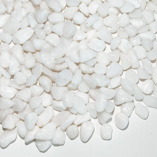 10 lbs White Pebbles for Indoor Plants, 3/8 Inch Decorative White Stones. Polished River Rocks for Potted Plants Vase Cactus Bird Bath and Outdoor Garden Landscaping-PurrikoPets