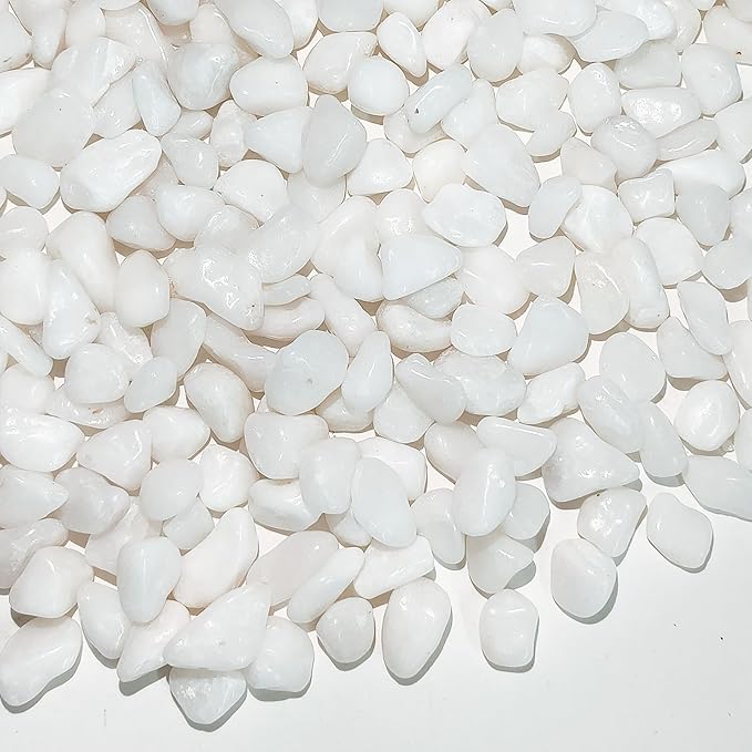 5 lbs White Pebbles for Indoor Plants, 3/8 Inch Decorative White Gravel, Polished River Rocks for Potted Plants Vase Cactus Bird Bath and Outdoor Garden Landscaping-PurrikoPets