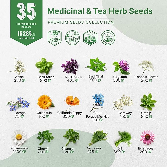 35 Medicinal & Tea Herb Seeds Variety Pack for Indoor & Outdoors. 16,335+ Non-GMO Heirloom Garden Seeds: Anise, Bergamot, Borage, Cilantro, Chamomile, Dandelion, Rosemary Seeds & More-PurrikoPets