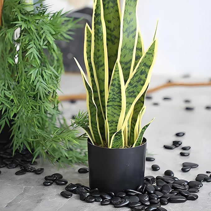 2 lbs Black Pebbles for Indoor Plants, 3/8 inch Decorative Rocks, Black River Rocks for Succulent Potted Plant, Vase, Aquarium, Landscaping and Outdoor Garden Rocks-PurrikoPets