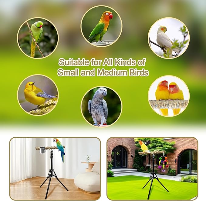16-63 Inch Height Adjustable Bird Perch Pepper Wood Bird Training Perch Stand Parakeet Perches Indoor and Outdoor Parrot Stands for Small to Medium Bird-PurrikoPets