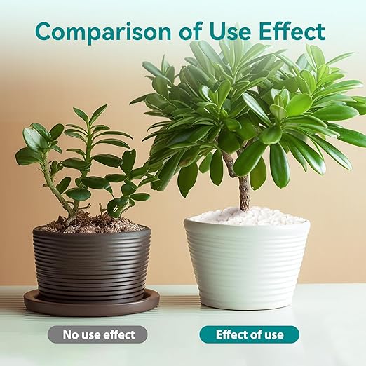 5 lbs Small White Rocks for Planters, 3/8" White Pebbles for Vases, Decorative Small Stones for Plants, Succulents, Bamboo, Terrarium, Landscape, Garden-PurrikoPets