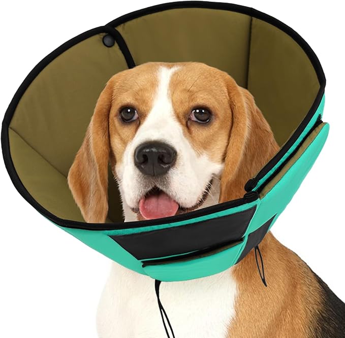 Dog Recovery Collar Cone for Medium Dogs, Adjustable Dog Cone Alternative After Surgery for Dogs to Stop Licking, Breathable Soft Cone for Medium Large Dogs, Green M-PurrikoPets