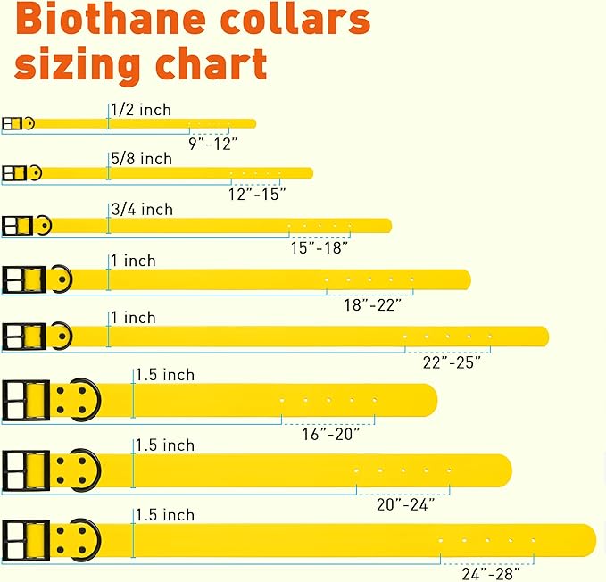 Dogline Biothane Waterproof Dog Collar Strong Coated Nylon Webbing with Black Hardware Odor- Proof for Easy Care Easy to Clean High Performance Fits Small Medium or Large Dogs, Lemon Yellow-PurrikoPets