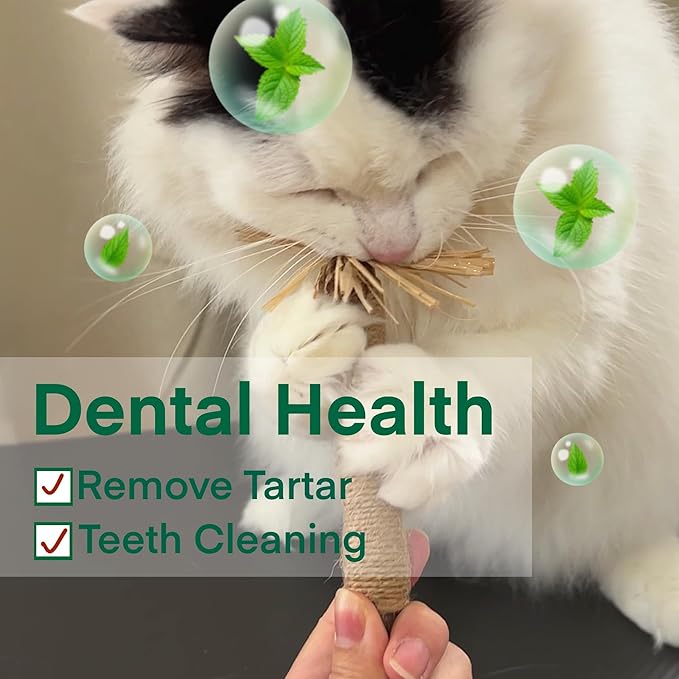 8.66 inches Silvervine Sticks Cat Toys, Natural Catnip Kittens Chew Toy for Teeth Cleaning,Big Catmint Blend Stick, Dental Kitty Chews for Indoor(5 Pack)-PurrikoPets