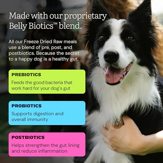 Get Joy Gut Health Fresh Freeze Dried Raw Meal, Chicken Recipe, 16 Ounce Bag, Dog Food for Dogs of All Breeds and Life Stages, PhD Animal Nutritionist Formulated, Made in USA-PurrikoPets