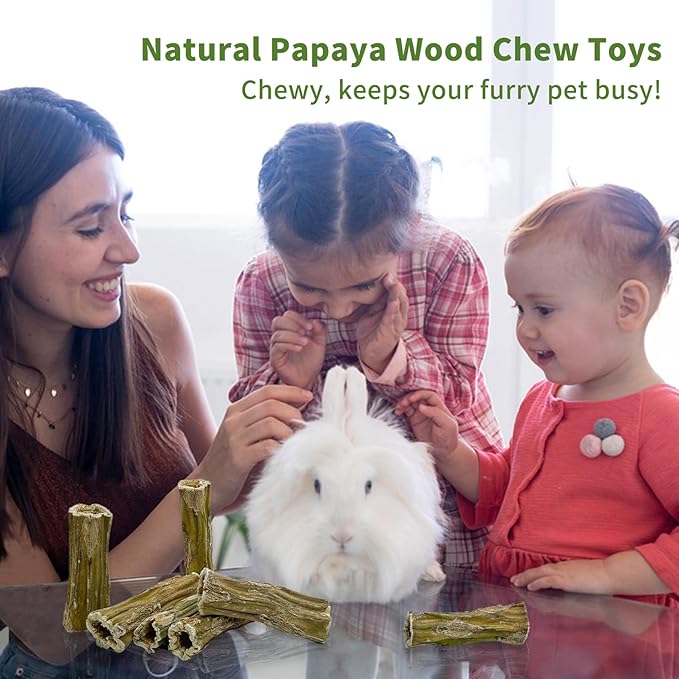 Fhiny Rabbit Chew Toys, 6 PCS 3.9" Natural Papaya Wood Chew Sticks Guinea Pig Treats for Dental Care Bunny Treats for Rabbits Small Pet Molar Snacks for Bunny Guinea Pig Chinchilla Hamster Gerbil-PurrikoPets