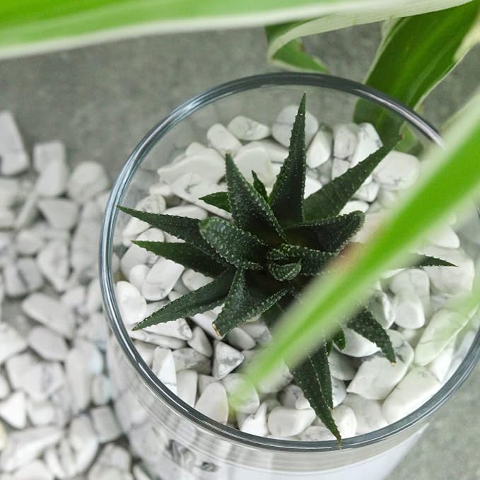 1lb Howlite Aquarium Gravel Rocks Natural Tumbled Healing Crystal Chips Bulk Gemstones Crushed Stones for Fountain Vase Filler Planters Decorative Fish Tank Potted Reiki Energy Balancing-PurrikoPets