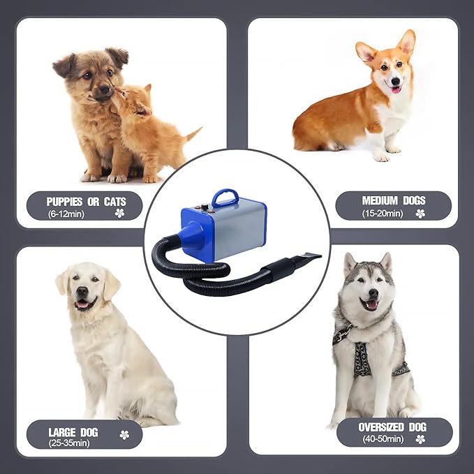 2400w 75m/s Dog Dryer for Pet Grooming, High Velocity Pet Hair Dryer with Heater, Adjustable Speed, 4 Nozzles and a Comb, Blue-PurrikoPets