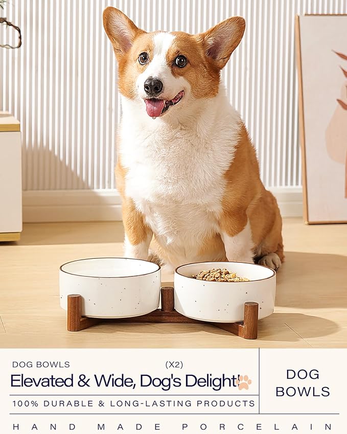 Getstar Ceramic Dog Bowls with Acacia Wood Stand, 30 fl oz, Set of 2, Dog Food Bowl with Colored Rim-PurrikoPets