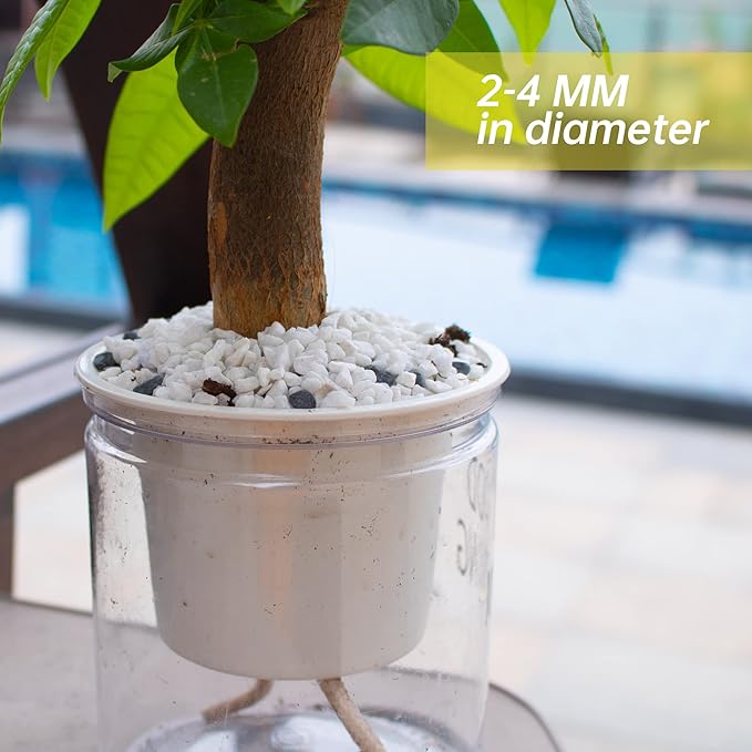 18lb White Cactus Pea Gravel Rocks,1/4 Inch Pebbles for Indoor Plants, Natural Succulent Rock and River Rocks Decorative for Aquariums, Vases, Outdoor Gardening, Top Dressing for Potted Plants-PurrikoPets