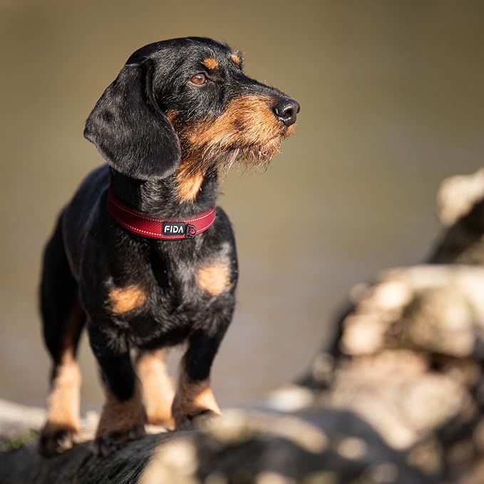 Fida Heavy Duty Dog Collar, Ultra Comfortable Soft Neoprene Padded, Adjustable Reflective Nylon Pet Collar with Durable Metal Belt Buckle for Medium Breeds (M, Red)-PurrikoPets