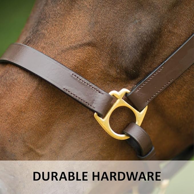 Dura-Tech Premier Lancaster Leather Halter for Horses | Simple Economy Leather Halter with Adjustable Fit & Solid Brass Hardware-PurrikoPets