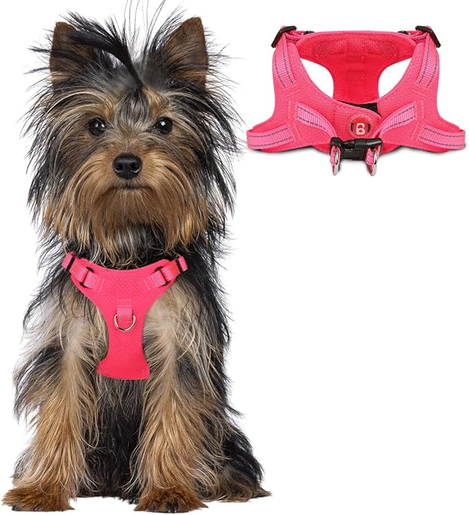 Dog Harness Step in Dog Vest Harness, Reflective Adjustable Puppy No Pull Harness Breathable Soft for Small and Medium Dogs Cats, Pink, XXS-PurrikoPets