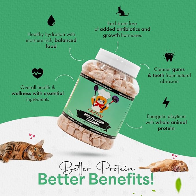 Freeze-Dried Chicken Treats for Cats & Dogs – 100% Human Grade, Single Ingredient, High-Protein, Healthy Snack – No Additives or Preservatives – 3.5oz - Inspected & Tested in USA-PurrikoPets
