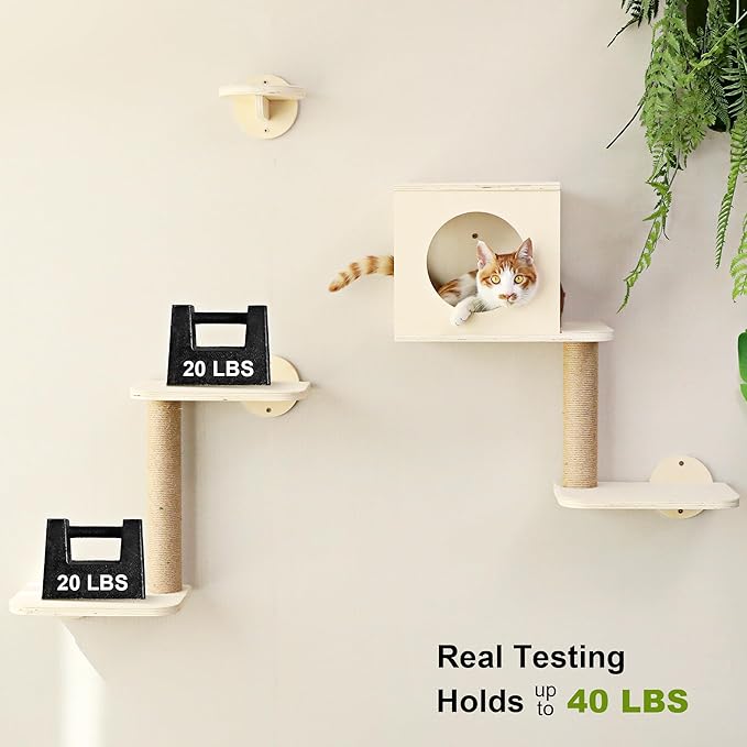 FUKUMARU Cat Wall Shelves, 5-Piece Stable Wooden Wall-Mounted Furniture Set, Kitty Climber with Hammock, House, Steps, Scratching Post (Beige)-PurrikoPets