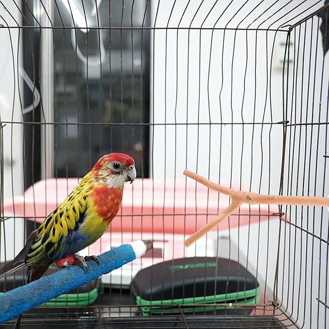 2pcs Bird Parrot Perch Stand Poles, Natural Wooden Parrot Perch for Cage, Branches Fork Rod for Small Parakeets Cockatiels Conure Lovebirds Bird Cage Accessories-PurrikoPets