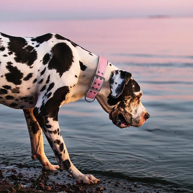 Fida Heavy Duty Dog Collar 1.5” Width, Ultra Soft Neoprene Padded, Adjustable Reflective Nylon Pet Collar with Two Metal Pin Belt Buckle for Large/X-Large Breeds (XL, Pink)-PurrikoPets