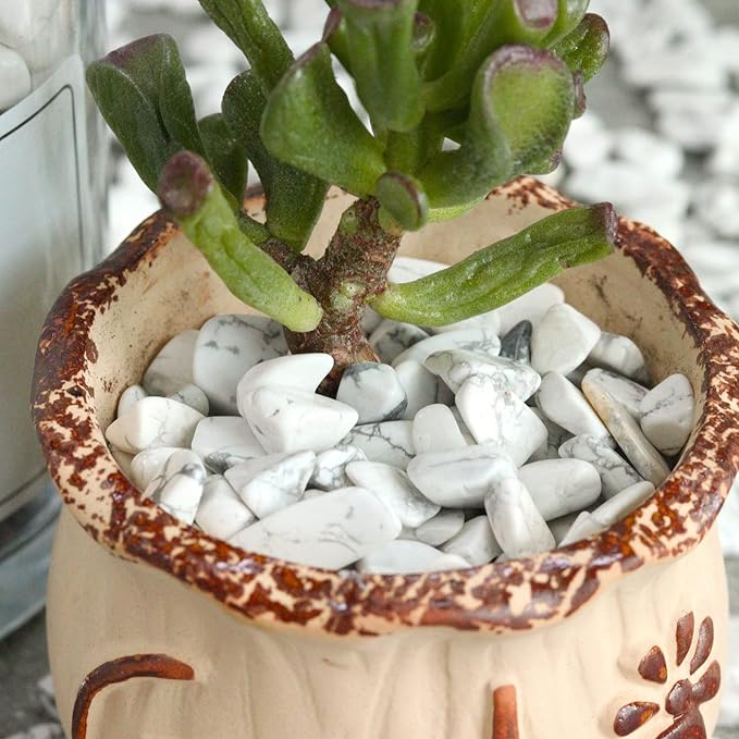 1lb Howlite Aquarium Gravel Rocks Natural Tumbled Healing Crystal Chips Bulk Gemstones Crushed Stones for Fountain Vase Filler Planters Decorative Fish Tank Potted Reiki Energy Balancing-PurrikoPets