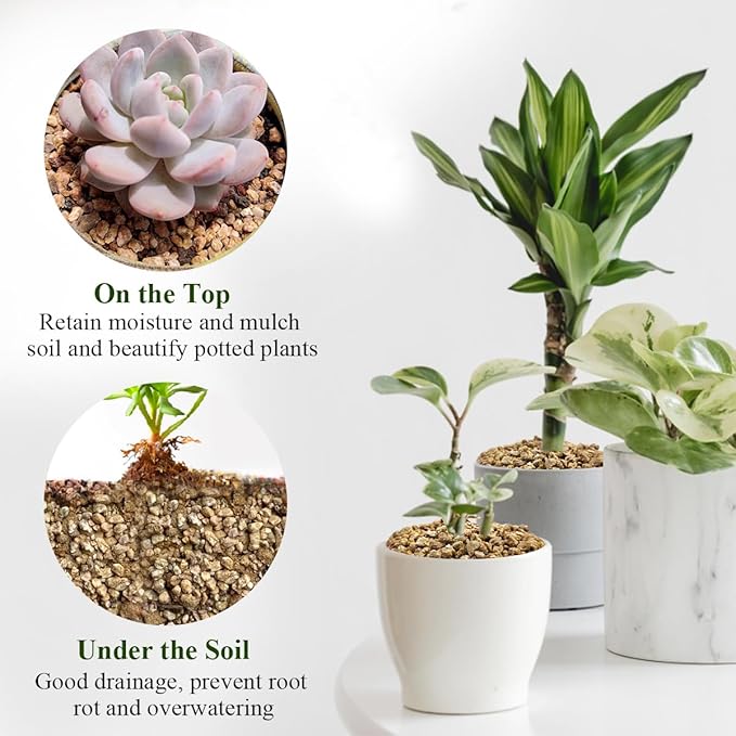 5 lbs Maifanitum Stones for Succulent,1/4 Inch Decorative Rocks for Indoor Plants, Bonsai, Soil Cover. Small Stones for Promote Soil Root Growth, Water Drainage and Plant Growth(5-8 mm)-PurrikoPets