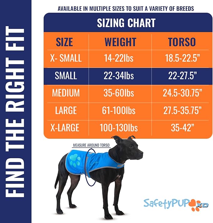 Dog Reflective Vest – Hi-Vis Fluorescent Visibility That Helps to Safeguard Your Pet On/Off Leash in Urban & Rural Areas (Blue, Small)-PurrikoPets