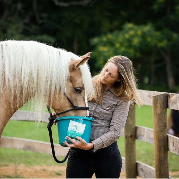 Gallagher's Water 12 Pack All-Natural Equine Hydration Treat - Enhancement Powder Mix Horse Drink Treat to Help Encourage to Drink Water - Made with All Natural Ingredients, FEI Compliant-PurrikoPets