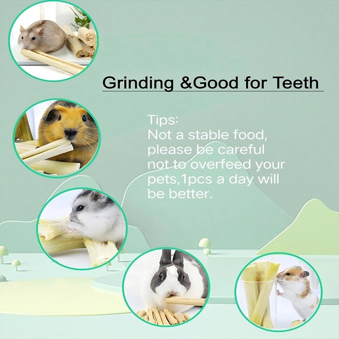 700g/1.5lb Sweet Bamboo Sticks for Rabbits Bunny Chew Toys,Chinchilla Molar Treats Chew Sticks for Small Animals Rabbits Hamsters Guinea Pigs-PurrikoPets