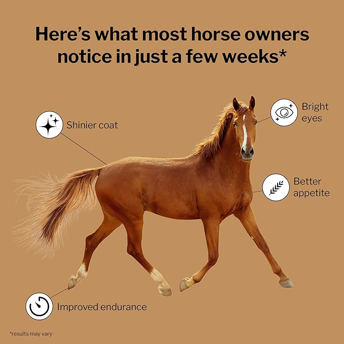 Formula 707 Daily Essentials Equine Supplement, 12 lb Bag – Complete Vitamins and Minerals for Superior Health and Condition in Horses-PurrikoPets