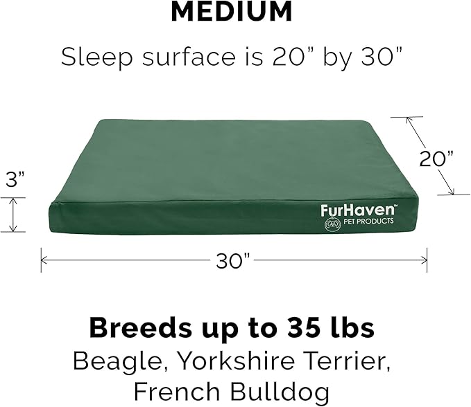 Furhaven Water-Resistant Cooling Gel Dog Bed for Medium/Small Dogs w/ Removable Washable Cover, For Dogs Up to 35 lbs - Indoor/Outdoor Logo Print Oxford Polycanvas Mattress - Forest, Medium-PurrikoPets