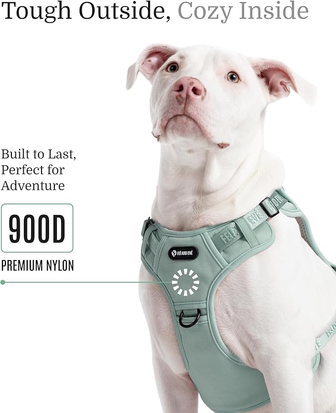 2025 New Edition, Fei & Eve MagEase Dog Harness - 3-Second Magnetic Buckles | 3-Point No-Pull Control | Heavy-Duty 900D Nylon | Dual Safety Handles | Breathable Mesh | Adjustable Fit | X-Large, Green-PurrikoPets