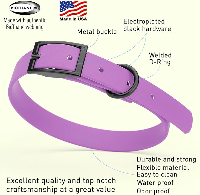 Dogline Biothane Waterproof Dog Collar Strong Coated Nylon Webbing with Black Hardware Odor- Proof for Easy Care Easy to Clean High Performance Fits Small Medium or Large Dogs, Amethyst Purple-PurrikoPets