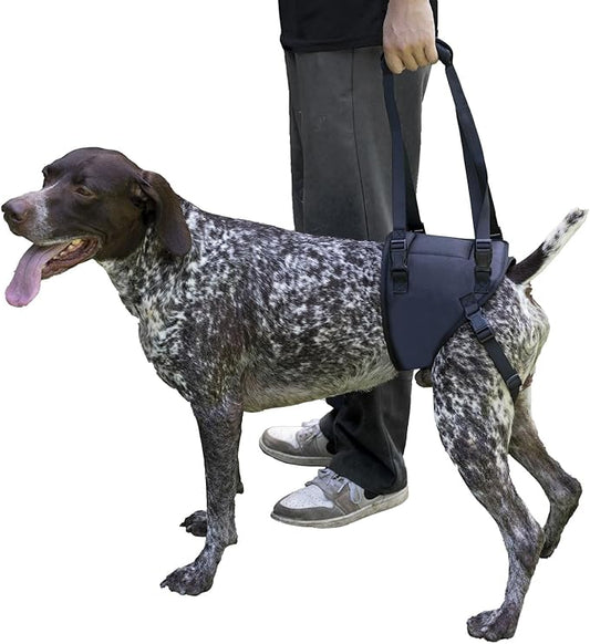 Dog Lift Harness for Dogs with Disabled Arthritis and Weak Back Legs, humanized Design with Comfortable Materials, Adjustable Back Legs and Straps, Suitable for Helping Dogs to Recover and Walk. (M)-PurrikoPets